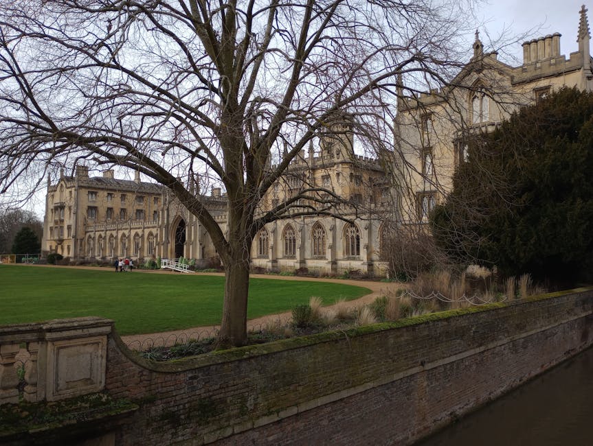 A large, historic stone building with Gothic architectural features, including pointed arch windows and decorative spires, is visible behind a leafless tree with sprawling branches. The building is set within a well-maintained, expansive green lawn bordered by a low brick wall and concrete paving. There are a few people in the distance near the building, indicating it is part of a public or private estate. The scene is captured in daylight with an overcast sky. This image relates to house removals and relocation services offered by Removal Companies Merton, illustrating the type of property clients may move into or out of during the home relocation process, which involves transportation and packing of belongings within such historical or period buildings.