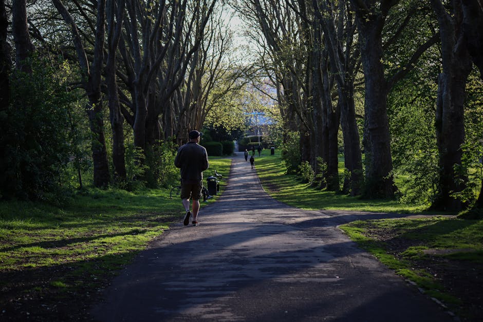 A person wearing a dark jacket and shorts is walking along a paved, tree-lined pathway during daylight hours, carrying a small bag and pushing a trolley loaded with cardboard boxes and packing materials. The pathway is shaded by tall trees with yellowish-green leaves, and other individuals are seen walking further along the route. The surrounding area is a park or green space with well-maintained grass and bushes, and the scene captures the quiet atmosphere typical of community outdoor spaces used for casual strolls or leisurely activities. This setting could relate to home relocation activities by illustrating the transition space involved in moving, with ongoing packing or preparatory steps for a house removal. Removal Companies Merton occasionally operate in environments like this, supporting clients with efficient furniture transport and moving logistics, ensuring a smooth relocation process.